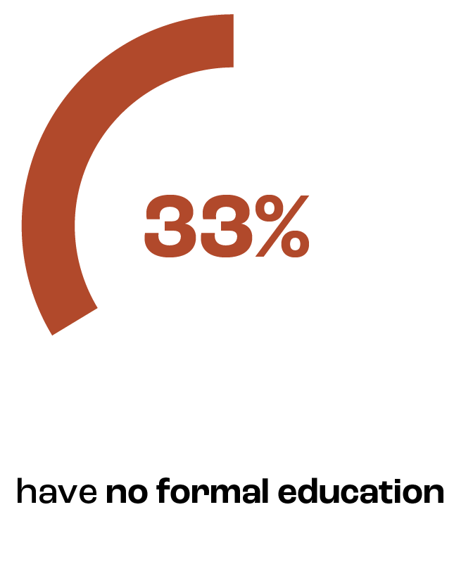 33% have no formal education