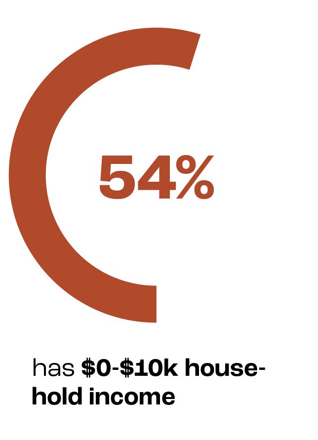 54% has $0-10k house-hold income